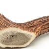 King Size Solid Elk Antler (10+ inches)