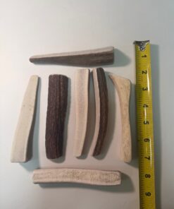Wholesale: Medium Split Elk Antler (4" to 6") - 50 Pack ($350.00)
