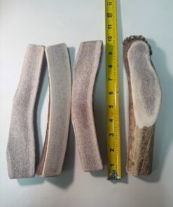Wholesale: Extra Large Split Elk Antler (8" to 10") - 50 Pack ($850.00)